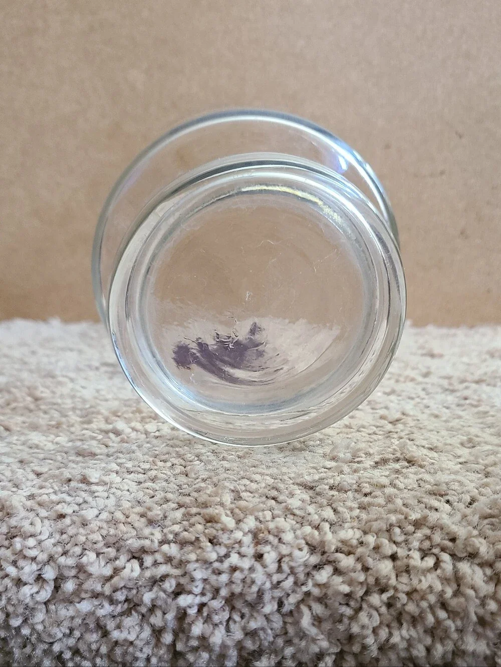 Taurus Glass Pedistal Vase